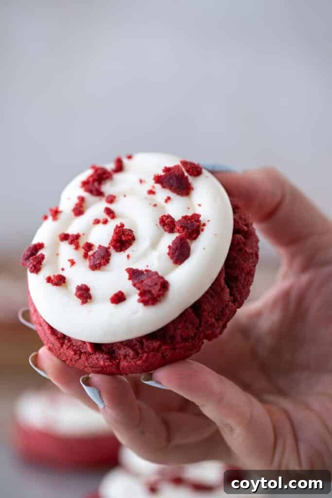 Hand holding Crumbl red velvet cupcake cookie