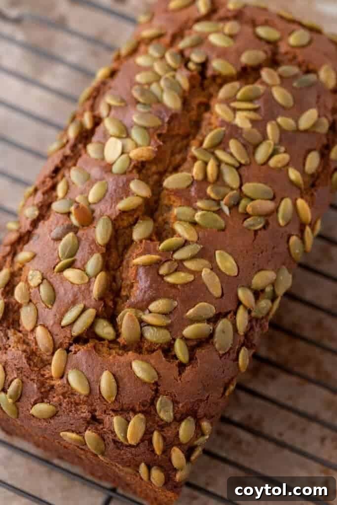 Starbucks pumpkin bread recipe