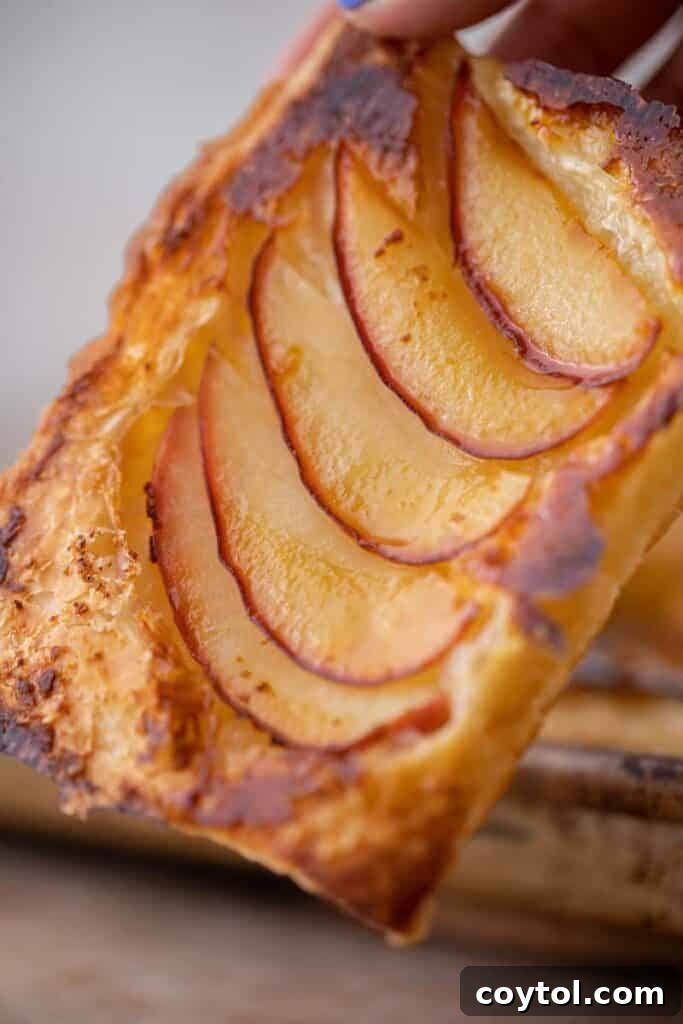 Flip for Flavor: Viral Upside-Down Pastries 10 A single golden-brown TikTok upside down pastry, showing the flaky crust and caramelized apple filling.