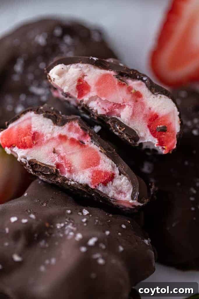 Decadent Chocolate Strawberry Yogurt Bites 2 Delicious viral chocolate strawberry yogurt clusters, sliced in half to show creamy interior and fresh fruit