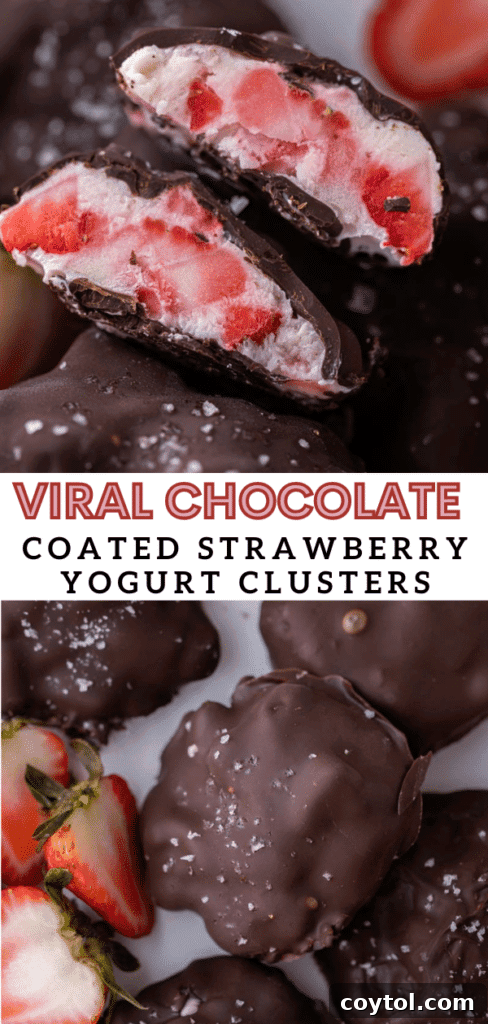 Decadent Chocolate Strawberry Yogurt Bites 12 Close-up of viral chocolate strawberry yogurt clusters, beautifully arranged and perfect for pinning on Pinterest