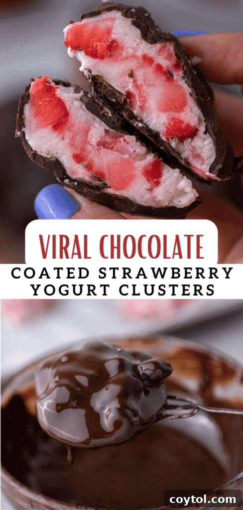 Decadent Chocolate Strawberry Yogurt Bites 14 Beautifully presented chocolate strawberry yogurt clusters, suitable for a recipe card or blog post header