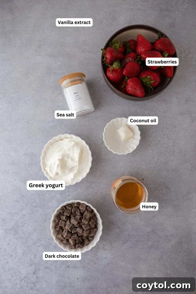 Decadent Chocolate Strawberry Yogurt Bites 3 Essential ingredients for chocolate strawberry yogurt clusters arranged on a clean kitchen counter