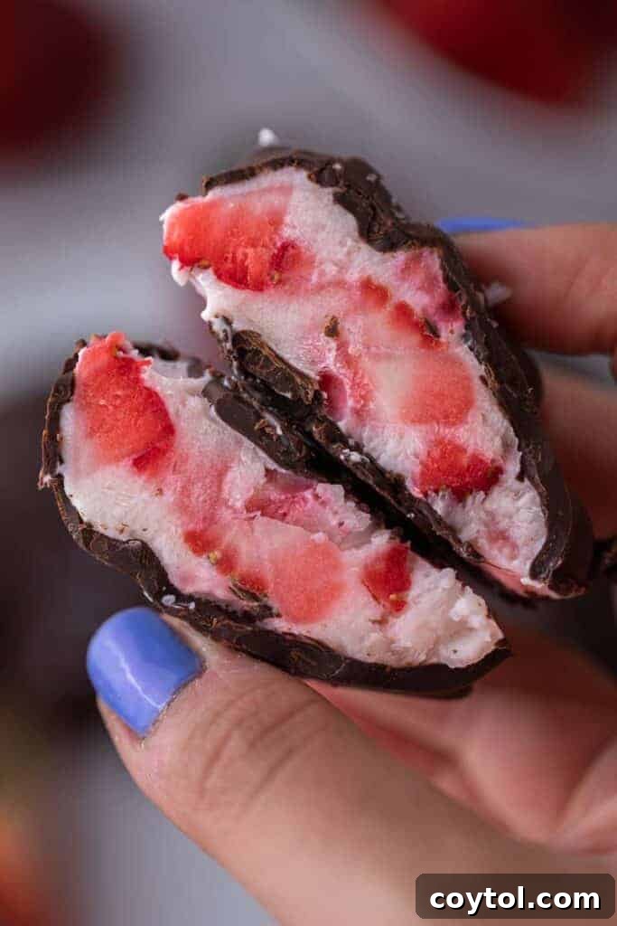 Decadent Chocolate Strawberry Yogurt Bites 4 A hand gently holding a perfectly dipped chocolate strawberry yogurt cluster, showcasing its inviting texture