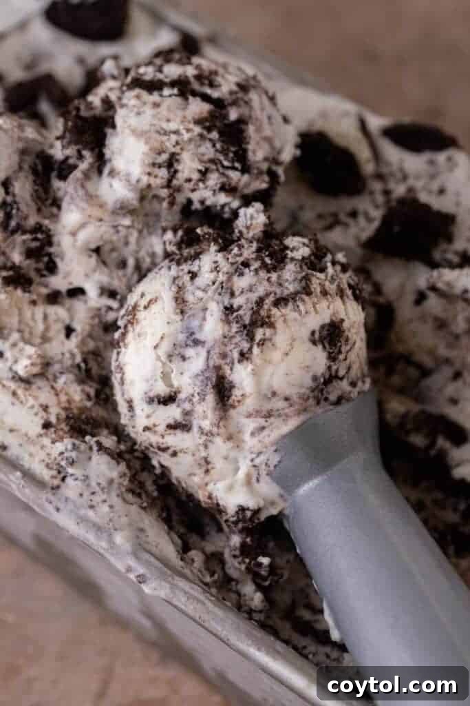 No-Churn Oreo Ice Cream Bliss 2 No churn cookies and cream ice cream