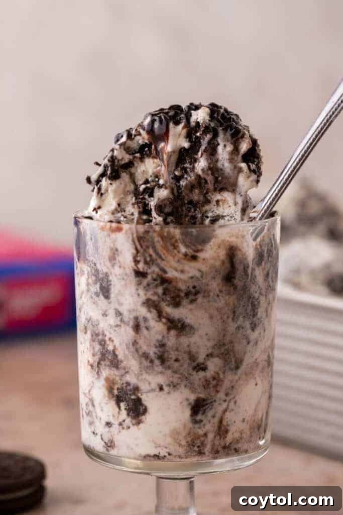 No-Churn Oreo Ice Cream Bliss 11 Close up of Oreo ice cream with chocolate sauce