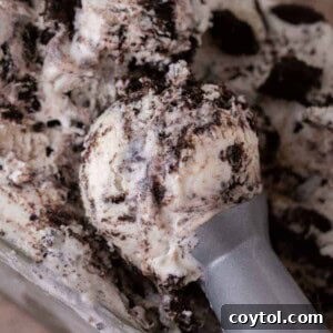 No-Churn Oreo Ice Cream Bliss 12 No churn cookies and cream ice cream