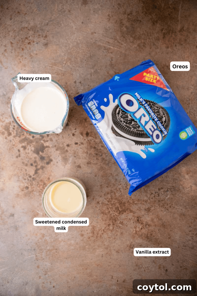 No-Churn Oreo Ice Cream Bliss 3 Ingredients on the counter