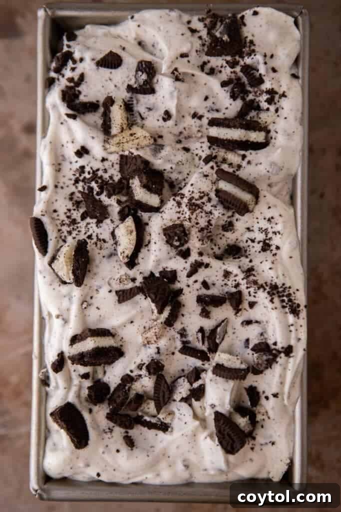 No-Churn Oreo Ice Cream Bliss 8 No churn cookies and cream ice cream