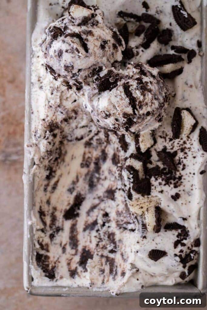No-Churn Oreo Ice Cream Bliss 9 No churn cookies and cream ice cream