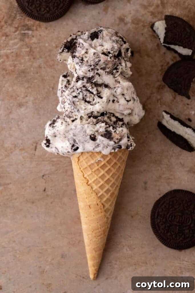 No-Churn Oreo Ice Cream Bliss 10 No churn cookies and cream ice cream in a waffle cone