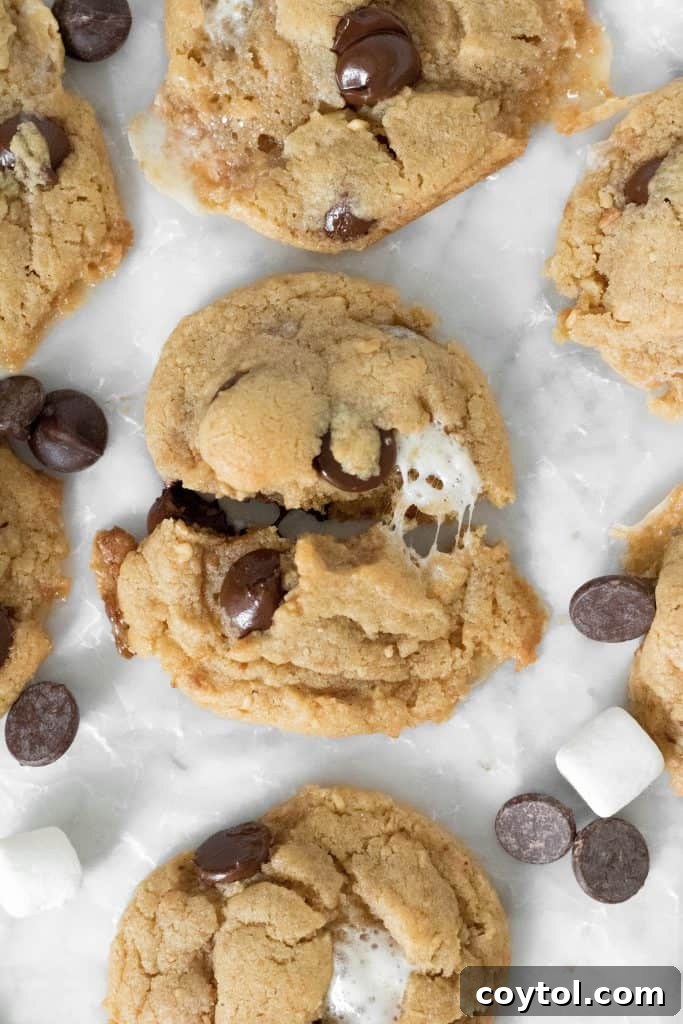 Reese's Heart Peanut Butter Blondies 11 Peanut butter S'mores cookie recipe cut in half with gooey marshmallow center