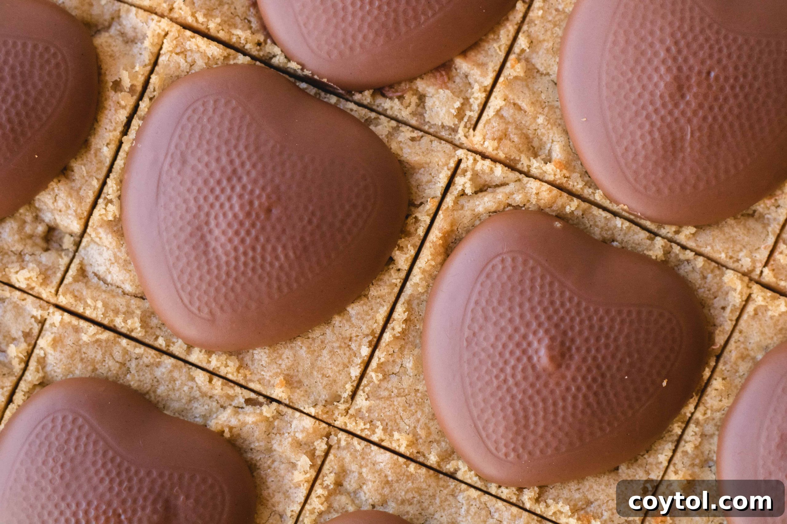 Reese's Heart Peanut Butter Blondies 26 Close-up of Reese's peanut butter candies on blondies, slightly melted