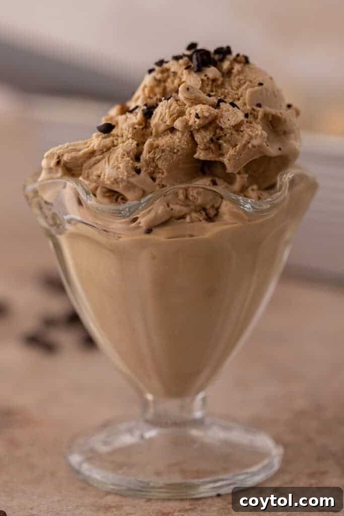 Close-up of creamy no-churn coffee ice cream served in a glass, ready to be enjoyed.