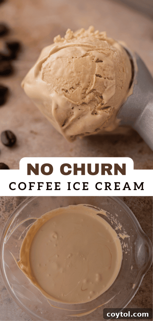 Another enticing photo of homemade coffee ice cream, ideal for pinning and sharing.