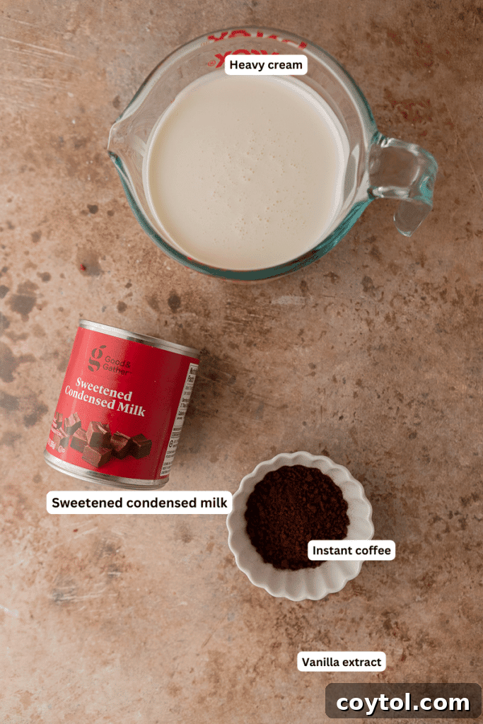 Essential ingredients for homemade no-churn coffee ice cream laid out neatly on a kitchen counter.
