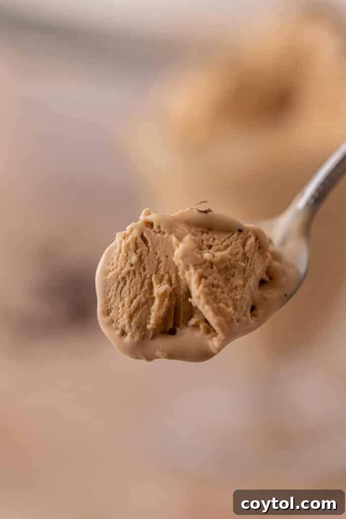 A spoonful of rich, creamy coffee ice cream, showcasing its irresistible texture.
