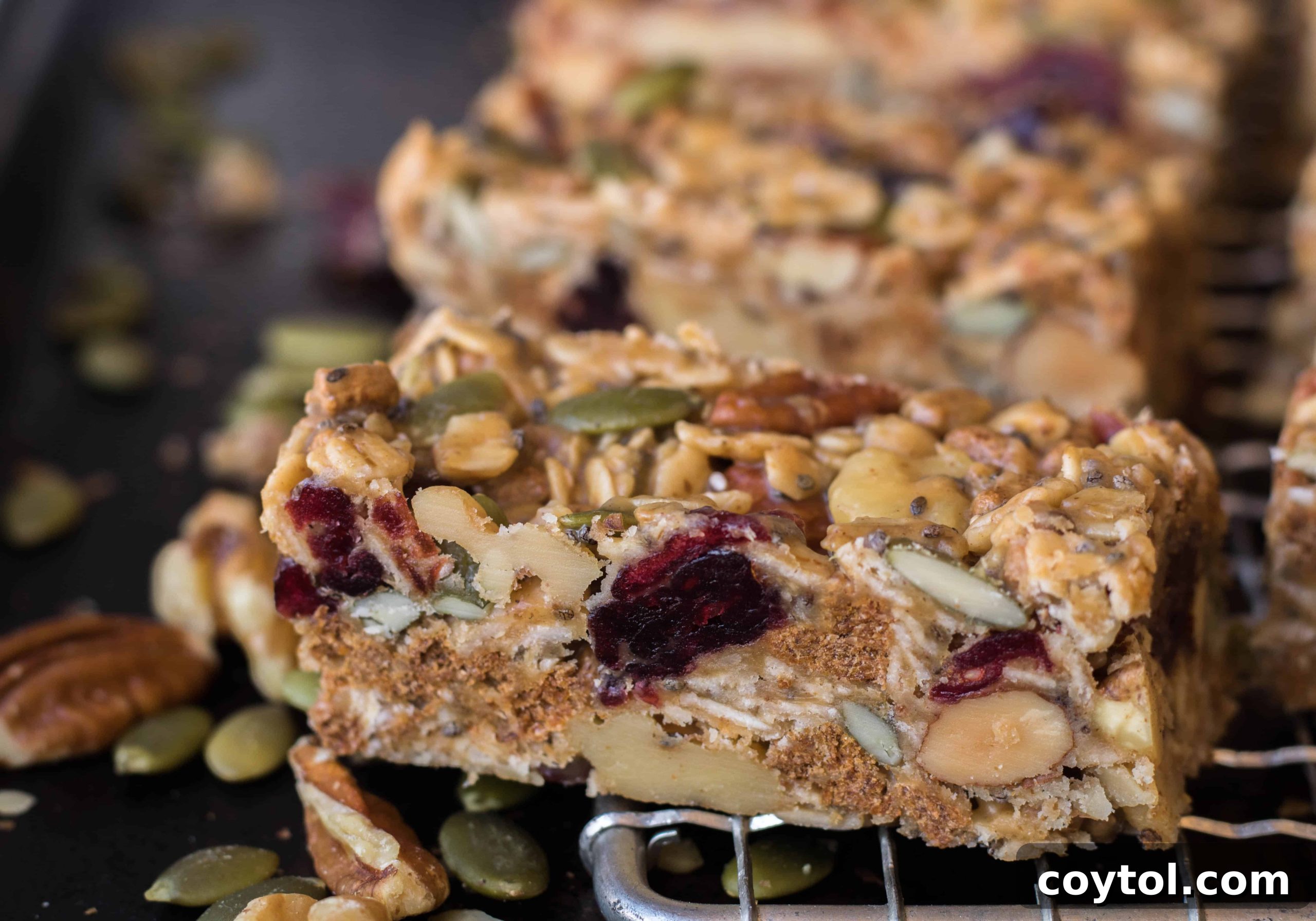 Delicious and healthy homemade trail mix energy bars, perfect for a nutritious snack.