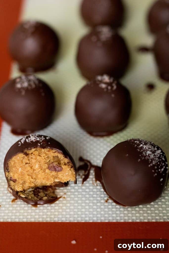 Rich, gooey chocolate peanut butter date balls, a healthy and satisfying dessert.