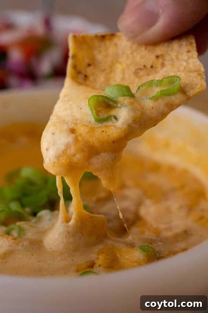 A close-up of a chip scooping up a generous amount of creamy cottage cheese queso, demonstrating its perfect dipping consistency.