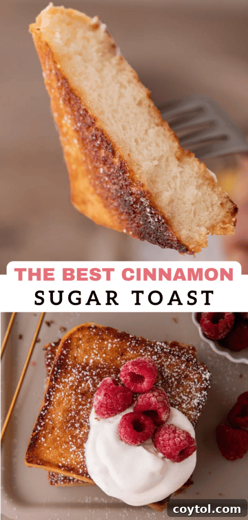 Cinnamon sugar toast 