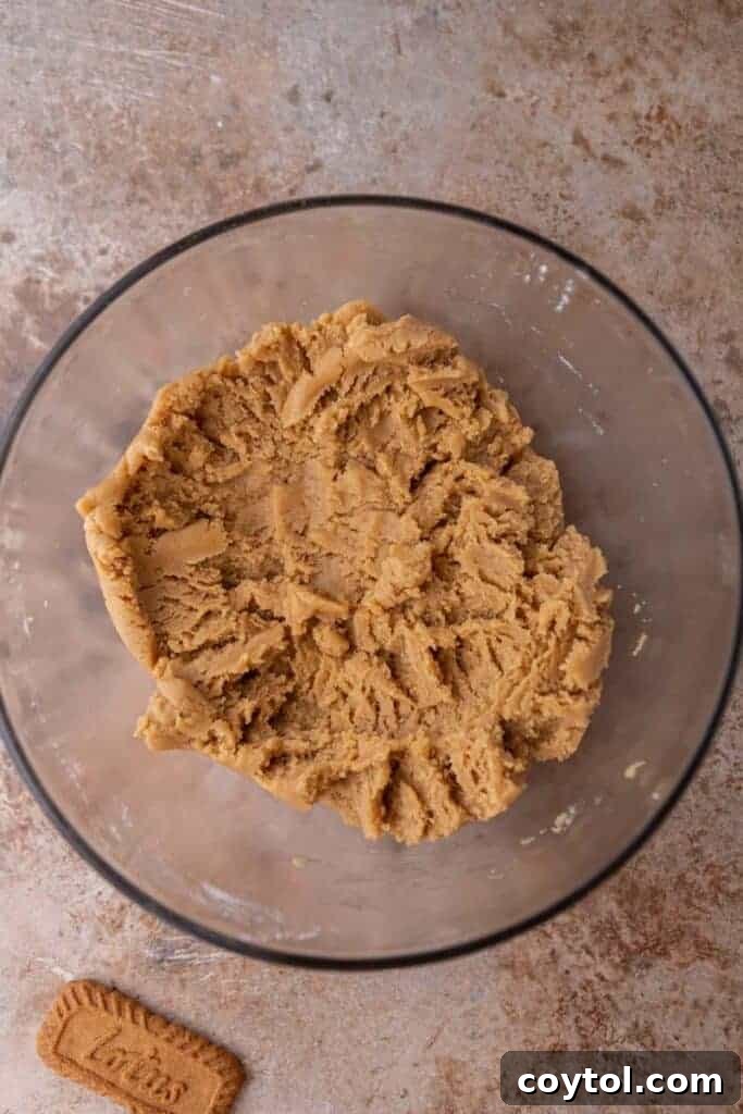 Cookie dough in a mixing bowl after combining wet and dry ingredients.