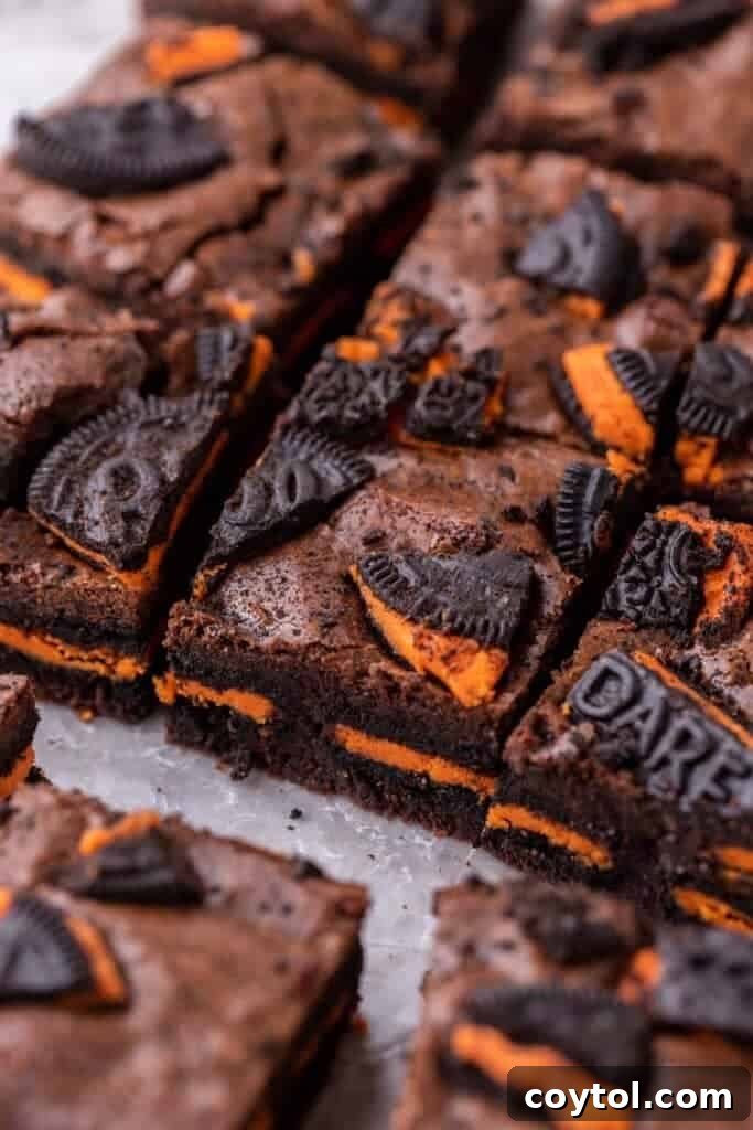 Halloween Oreo brownies, rich and fudgy with orange-filled Oreos on top