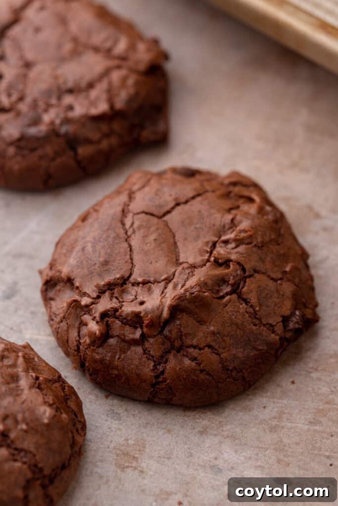 Close-up of three small batch brownie cookies on a cooling rack, showcasing their rich color and inviting fudgy texture.