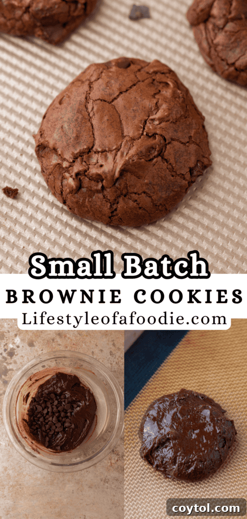 A close-up of a small batch brownie cookie, highlighting its rich, dark chocolate color, delicate crinkles, and soft, inviting texture.