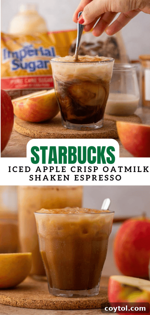 Starbucks Iced Apple Crisp Oatmilk Shaken Espresso 14 Promotional image for pinning the New Starbucks Iced Apple Crisp Oatmilk Shaken Espresso recipe.