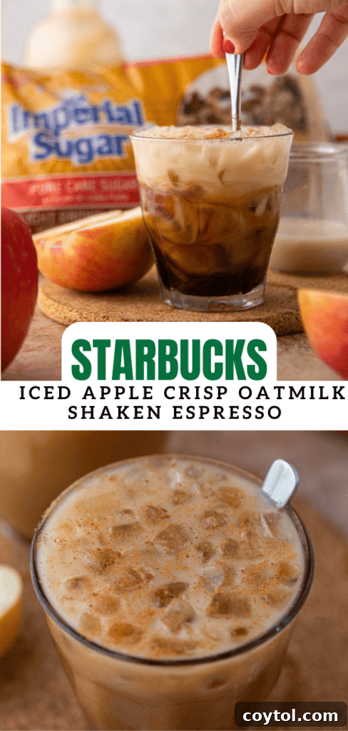 Starbucks Iced Apple Crisp Oatmilk Shaken Espresso 15 A second promotional image for pinning the homemade Starbucks Apple Crisp Shaken Espresso recipe.