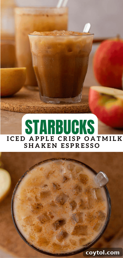 Starbucks Iced Apple Crisp Oatmilk Shaken Espresso 16 A third promotional image for pinning the Iced Apple Crisp Oatmilk Shaken Espresso copycat recipe.