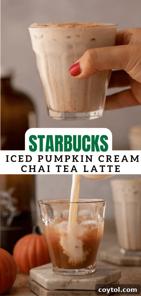 Starbucks' Latest Fall Delight: The Iced Pumpkin Cream Chai Latte 14 Starbucks Iced Pumpkin Cream Chai Tea Latte close-up