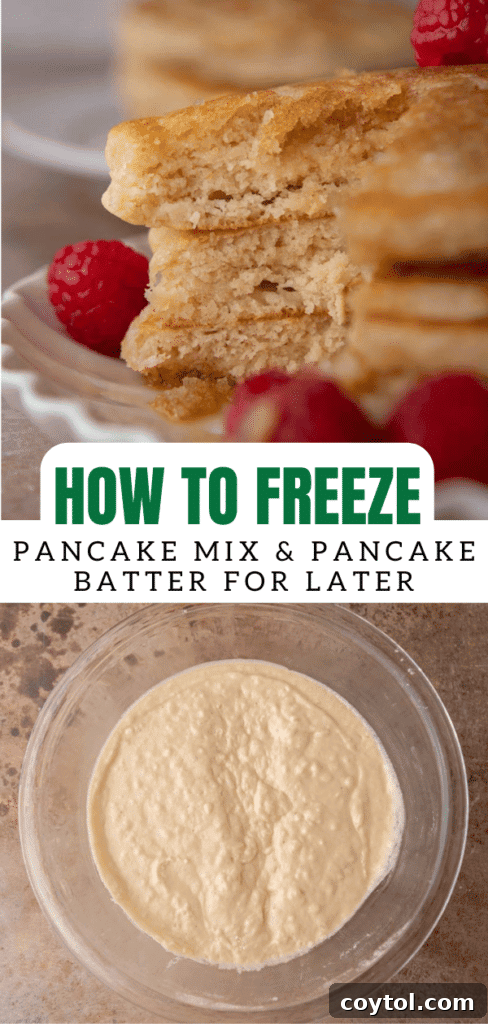 Pinterest collage featuring images of frozen pancake batter and cooked pancakes, ideal for sharing.