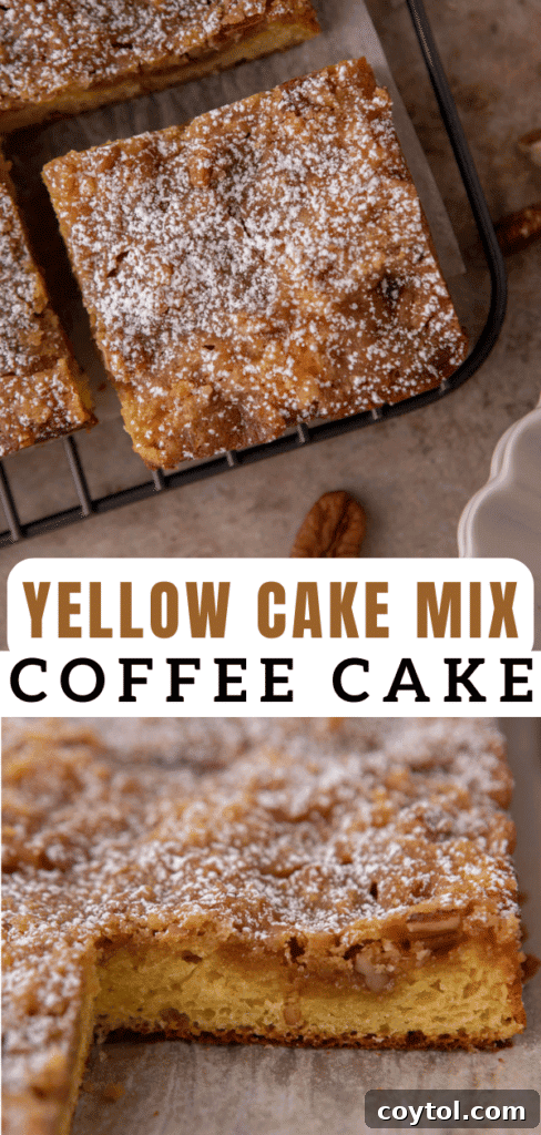 The best easy coffee cake with cake mix recipe for Pinterest