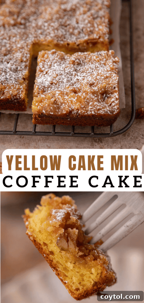 The best easy coffee cake with cake mix recipe, another view