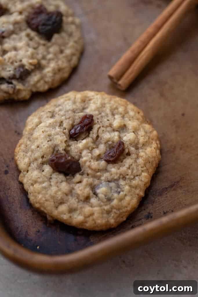 Original Quaker oatmeal cookie recipe