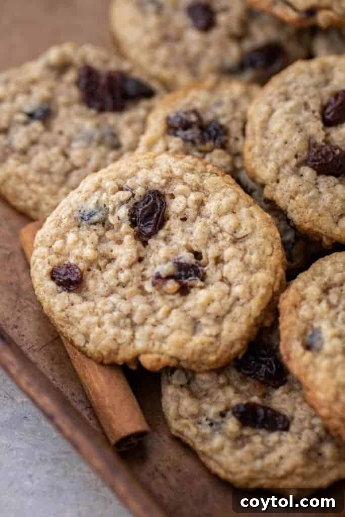 Vanishing oatmeal cookies with raisins