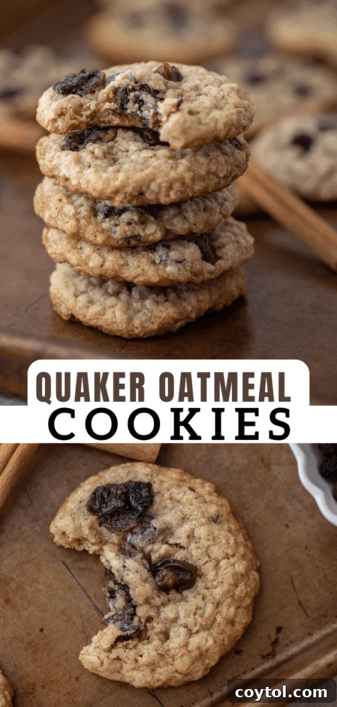 Original Quaker oatmeal cookie recipe 