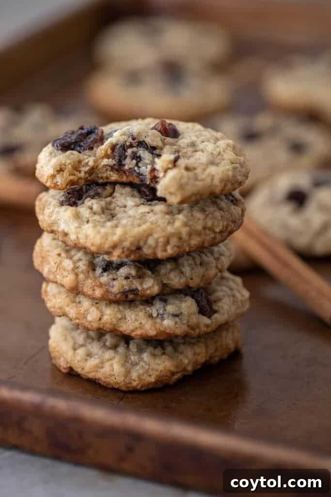 Stack of vanishing oatmeal cookies