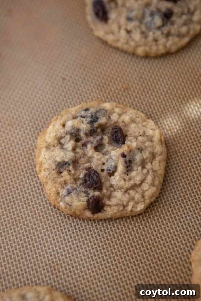 Original Quaker oatmeal cookie recipe