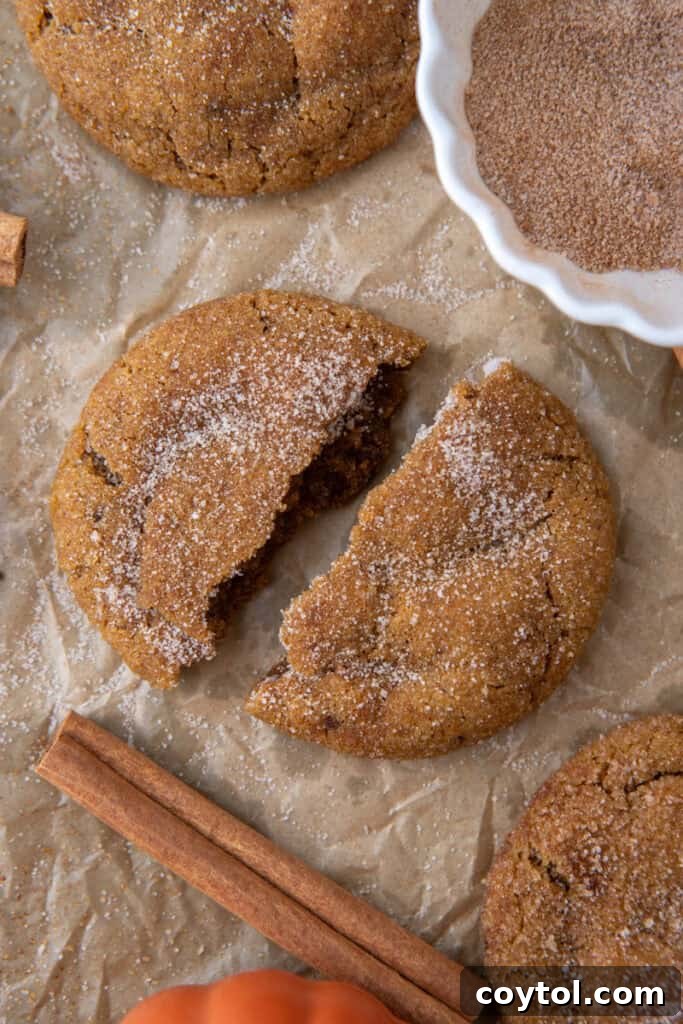 Brown Butter pumpkin snickerdoodle cookies split in half