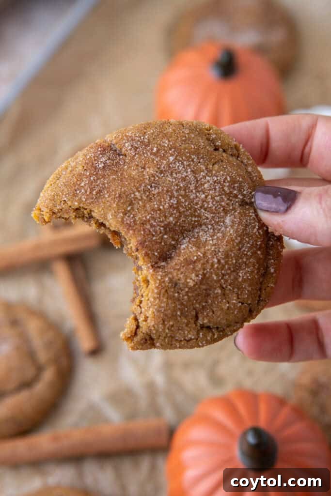 Brown Butter pumpkin snickerdoodle cookies held up by a hand