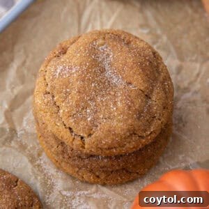 Brown Butter Pumpkin snickerdoodle Cookies