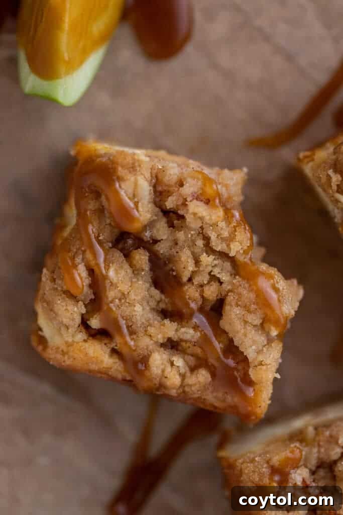 Delightful apple cheesecake bars with a golden streusel crisp topping, ready to be enjoyed as a perfect fall dessert.