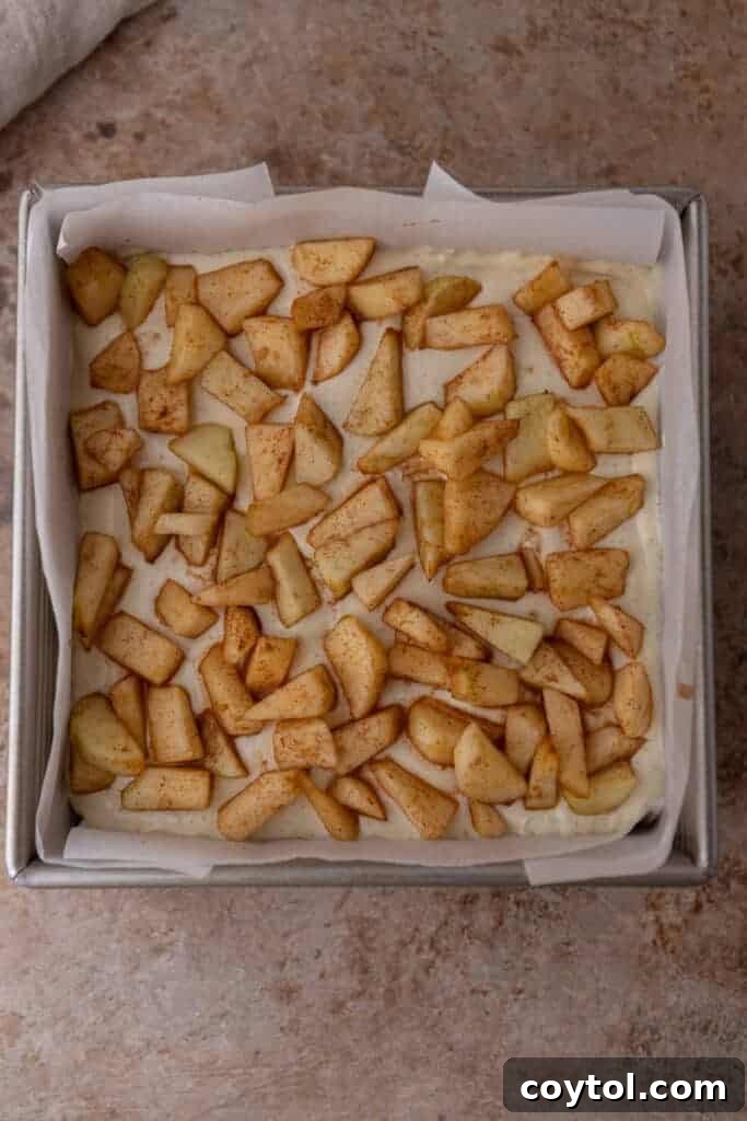 Neatly arranged apple slices on top of the creamy cheesecake layer, ready for the streusel topping.