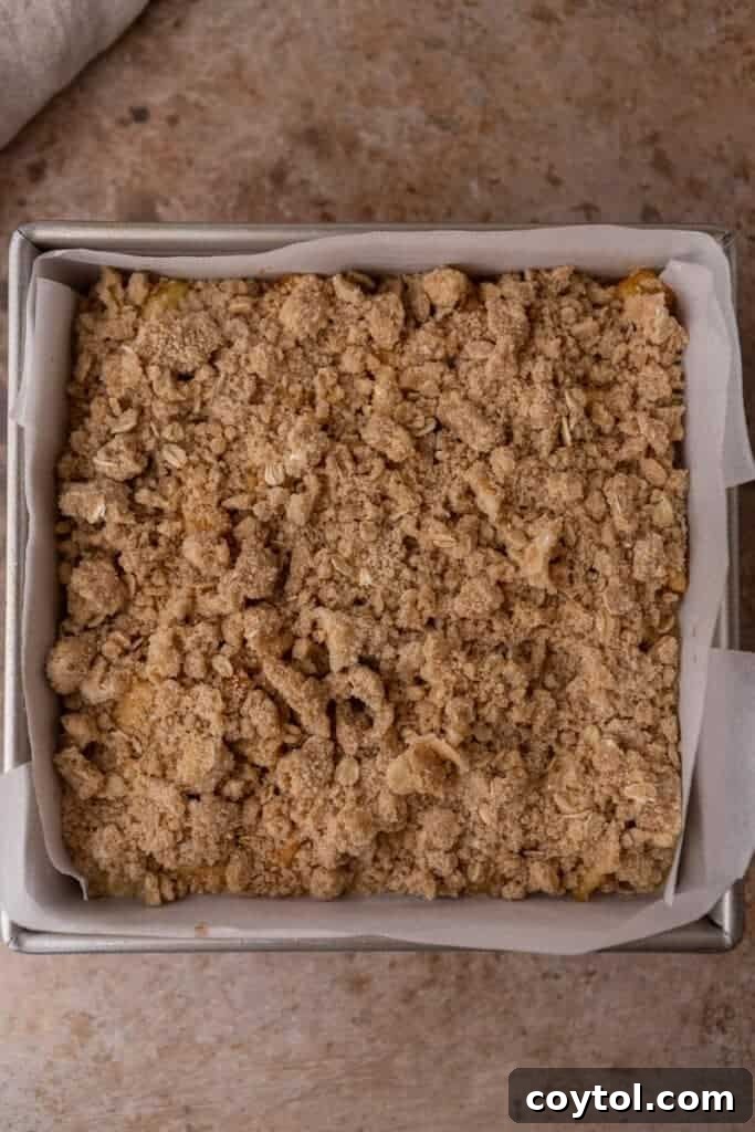 Golden streusel topping sprinkled generously over the apple and cheesecake layers, prepared for baking.