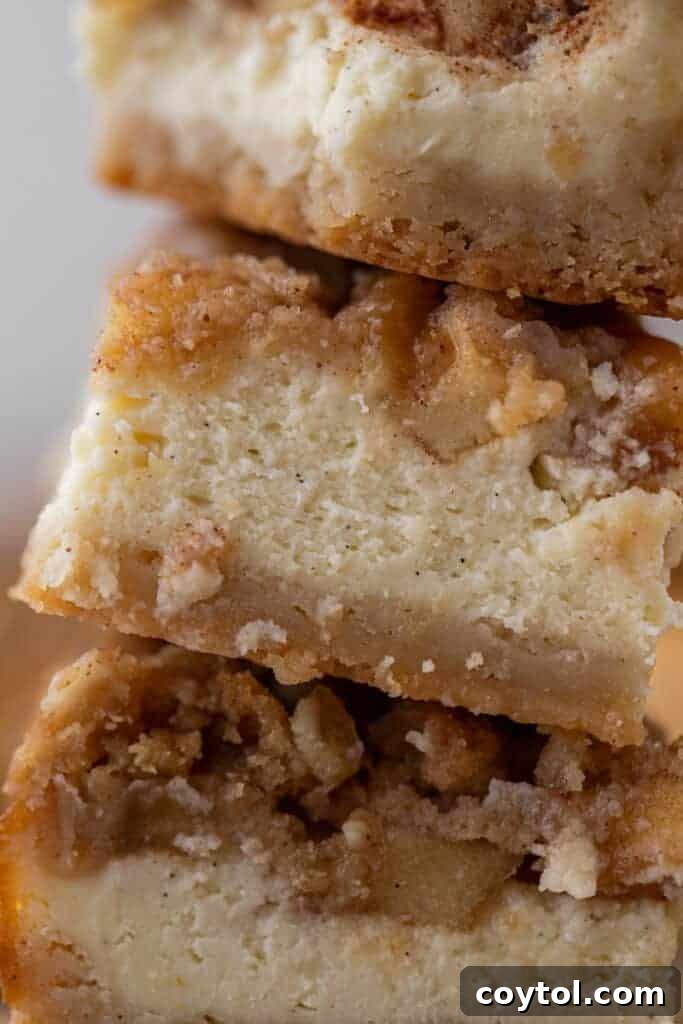 A close-up view of the distinct, delicious layers of the apple cheesecake bars: shortbread crust, creamy cheesecake, cinnamon apples, and streusel topping.