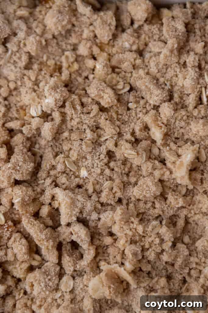 Perfectly crumbly streusel topping, chilled and ready to add a crunchy layer to the apple cheesecake bars.