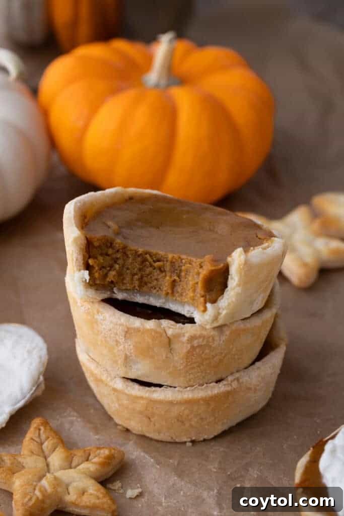 A perfectly baked mini pumpkin pie, ready for a dollop of whipped cream, showcasing its golden crust and creamy filling.